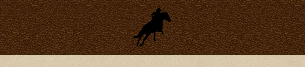 Jason Morrison Horsemanship – Training, Performance, Behavior – Montana, Georgia, Texas